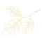 separatory